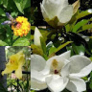 Meet your Posher, Titus